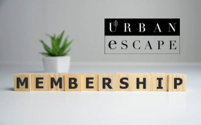 'Monthly UE Program